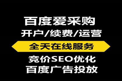 百度竞价广告成功案例：如何实现ROI最大化